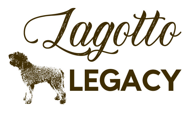 Lagotti Romagnoli cuccioli - Lagotto Legacy